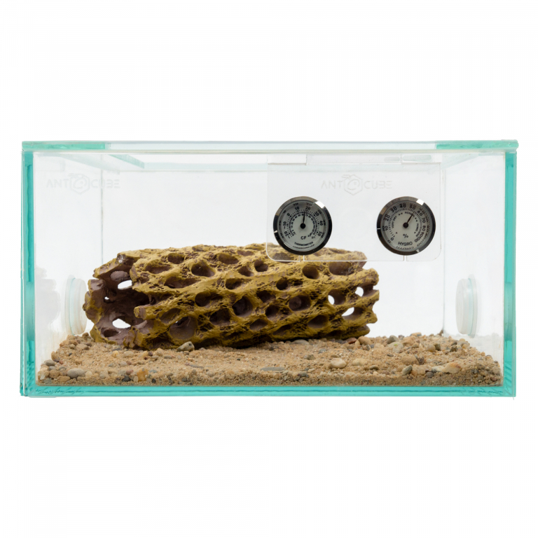 Decorative cactus Vuka 15x5cm